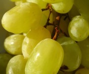 Weintrauben Obst Dresden